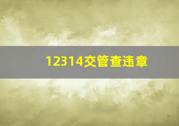 12314交管查违章