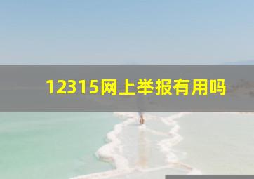 12315网上举报有用吗