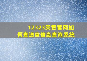 12323交管官网如何查违章信息查询系统