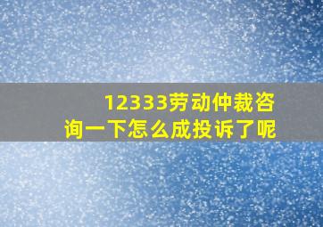 12333劳动仲裁咨询一下怎么成投诉了呢