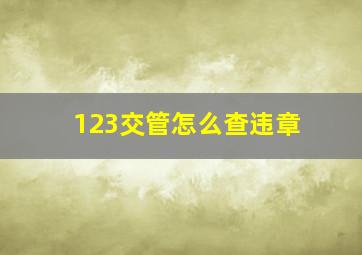 123交管怎么查违章