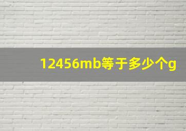 12456mb等于多少个g