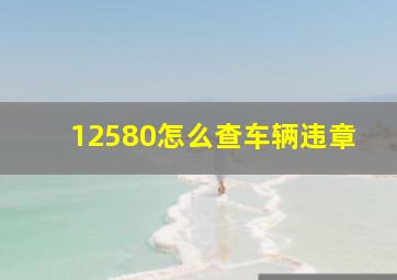 12580怎么查车辆违章