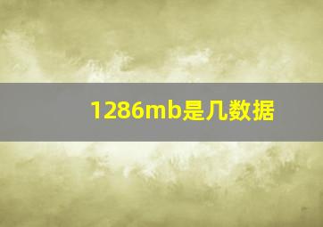 1286mb是几数据