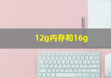 12g内存和16g