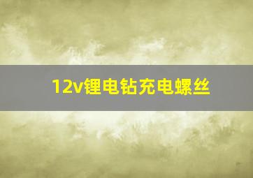 12v锂电钻充电螺丝