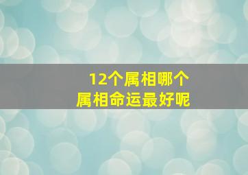 12个属相哪个属相命运最好呢