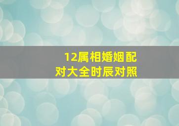 12属相婚姻配对大全时辰对照