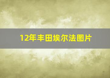 12年丰田埃尔法图片