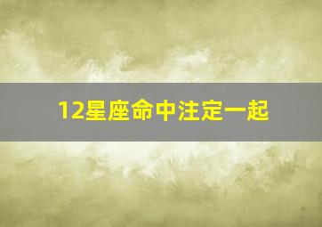 12星座命中注定一起