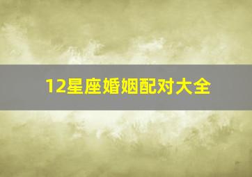 12星座婚姻配对大全