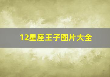 12星座王子图片大全