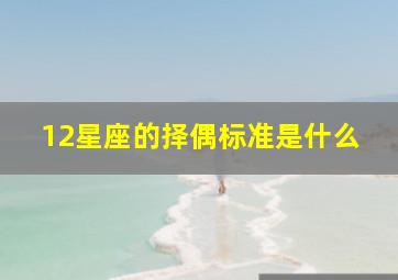 12星座的择偶标准是什么