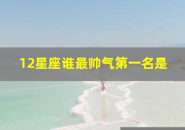 12星座谁最帅气第一名是