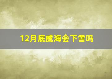 12月底威海会下雪吗