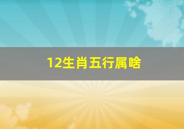 12生肖五行属啥