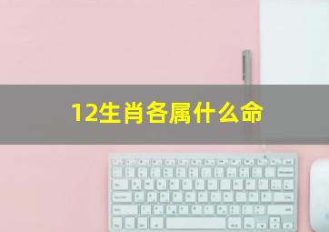 12生肖各属什么命