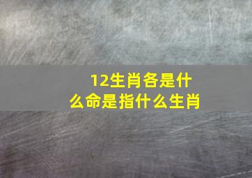 12生肖各是什么命是指什么生肖