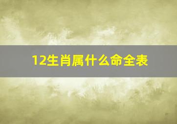 12生肖属什么命全表