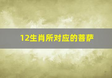 12生肖所对应的菩萨