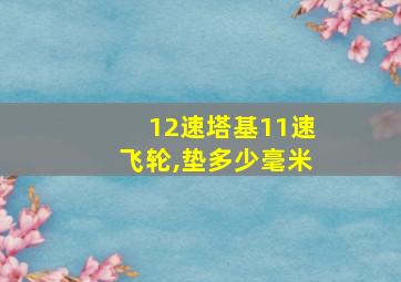 12速塔基11速飞轮,垫多少毫米