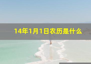 14年1月1日农历是什么