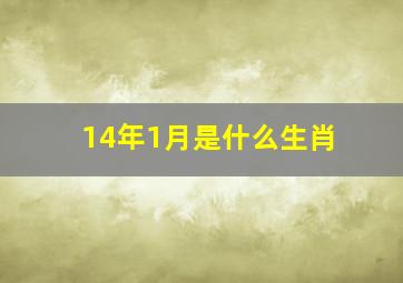 14年1月是什么生肖