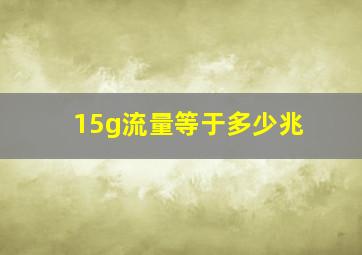 15g流量等于多少兆