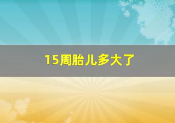 15周胎儿多大了