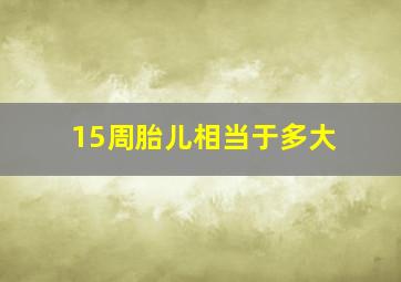 15周胎儿相当于多大