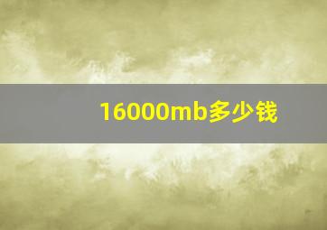 16000mb多少钱