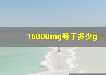 16800mg等于多少g