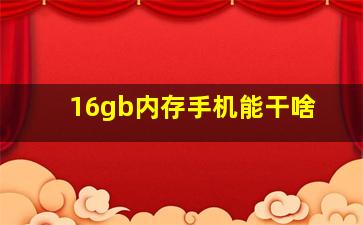 16gb内存手机能干啥