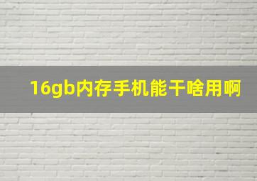 16gb内存手机能干啥用啊