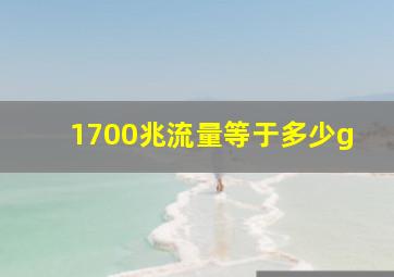 1700兆流量等于多少g