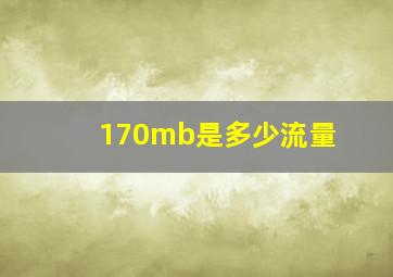 170mb是多少流量