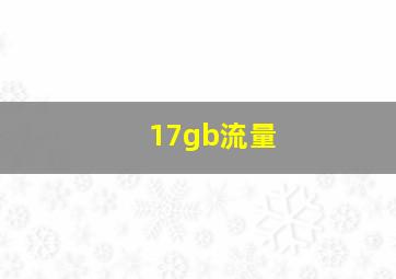 17gb流量