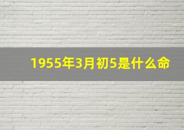 1955年3月初5是什么命