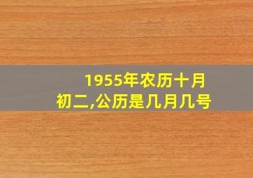 1955年农历十月初二,公历是几月几号