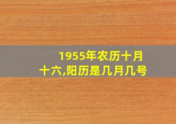 1955年农历十月十六,阳历是几月几号