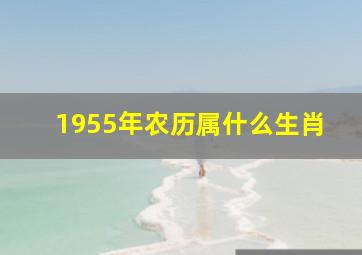 1955年农历属什么生肖