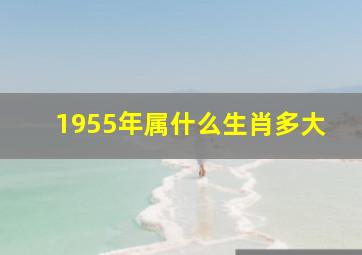 1955年属什么生肖多大