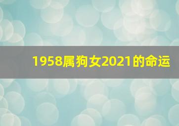 1958属狗女2021的命运