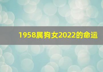 1958属狗女2022的命运