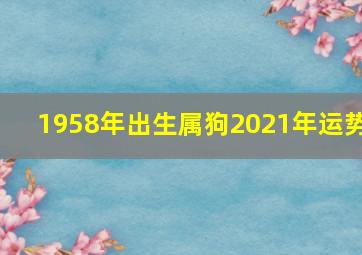 1958年出生属狗2021年运势