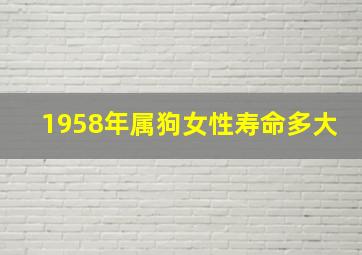 1958年属狗女性寿命多大