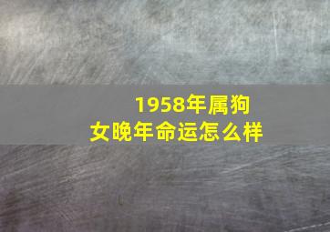 1958年属狗女晚年命运怎么样