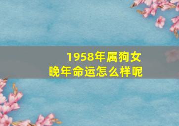 1958年属狗女晚年命运怎么样呢