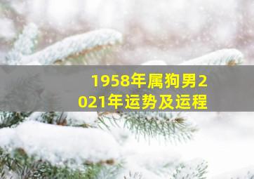 1958年属狗男2021年运势及运程