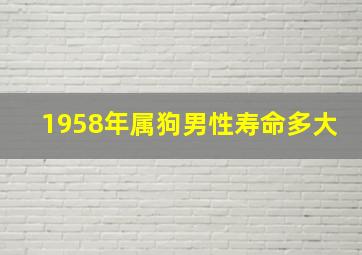 1958年属狗男性寿命多大